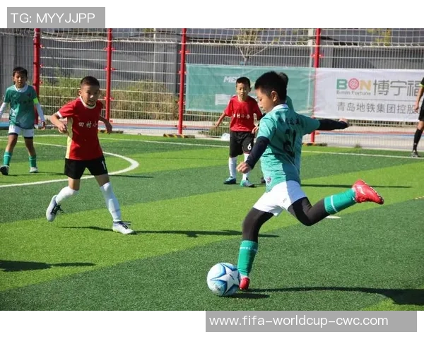 禁飞区内的足球赛事安全保障与管理探讨 禁飞区内的足球赛事安全保障与管理探讨